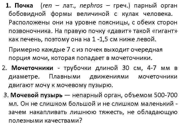 1. Почка (ren – лат. , nephros – греч. ) парный орган бобовидной формы