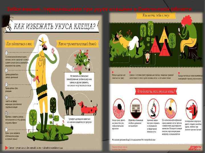 Заболевание, передающиеся при укусе клещами в Смоленской области 