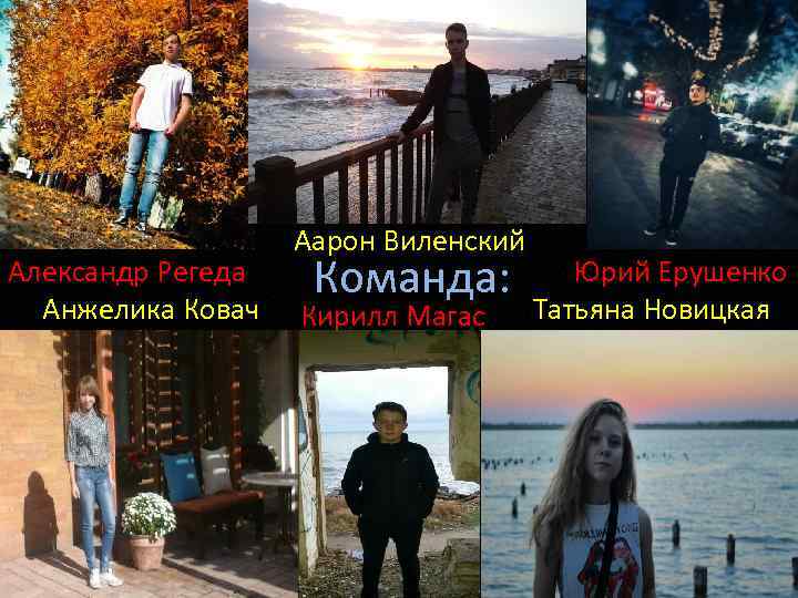 Александр Регеда Анжелика Ковач Аарон Виленский Команда: Кирилл Магас Юрий Ерушенко Татьяна Новицкая 