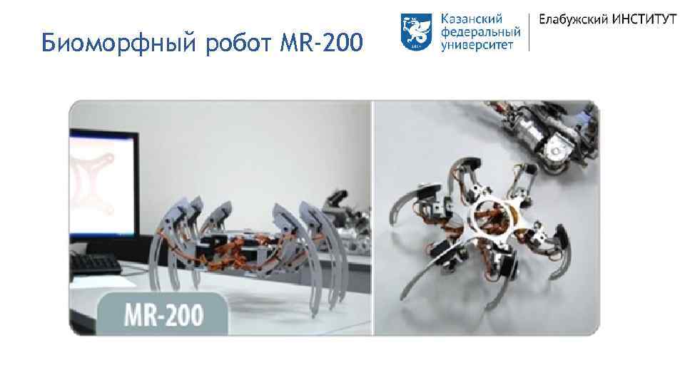 Биоморфный робот MR-200 