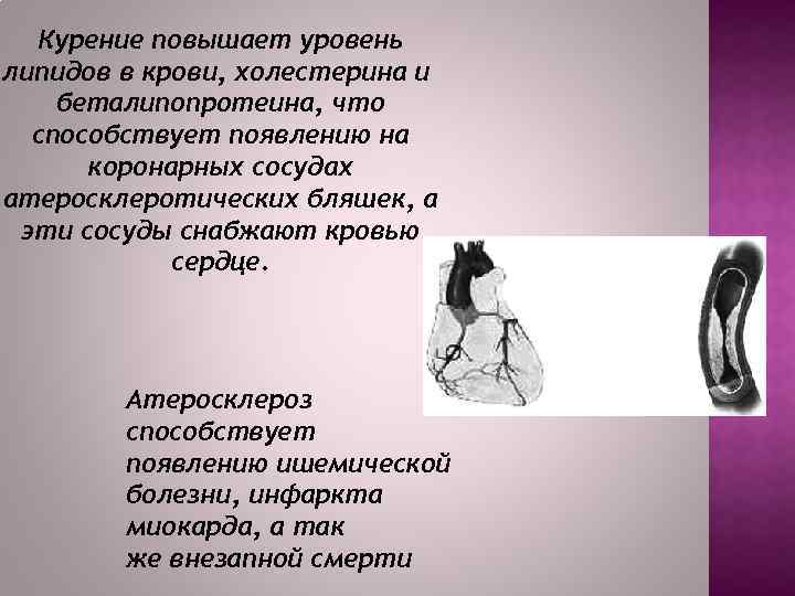 Курение повышает уровень липидов в крови, холестерина и беталипопротеина, что способствует появлению на коронарных