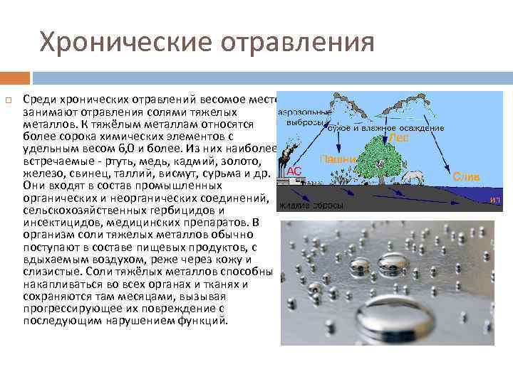 Хронические отравления Среди хронических отравлений весомое место занимают отравления солями тяжелых металлов. К тяжёлым