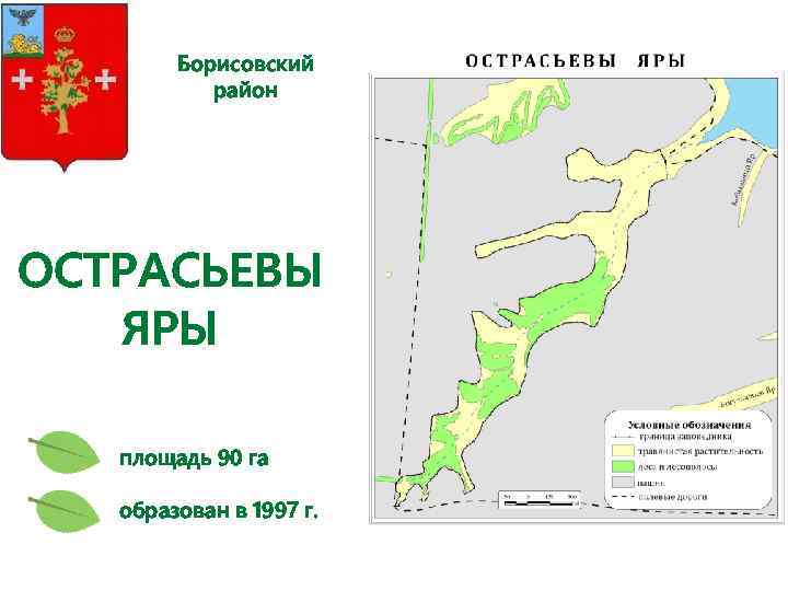 Борисовский район ОСТРАСЬЕВЫ ЯРЫ площадь 90 га образован в 1997 г. 