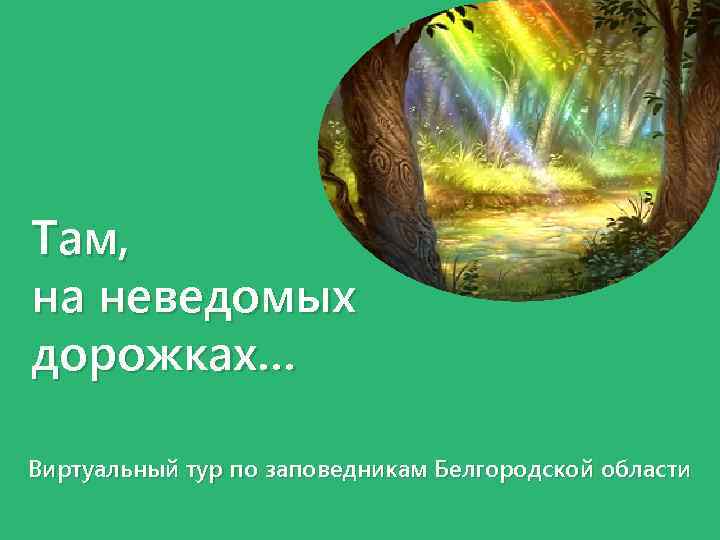 Там, на неведомых дорожках… Виртуальный тур по заповедникам Белгородской области 