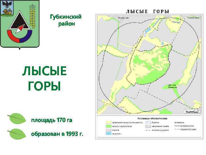 Губкинский район ЛЫСЫЕ ГОРЫ площадь 170 га образован в 1993 г. 