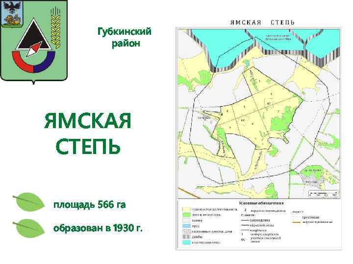 Губкинский район ЯМСКАЯ СТЕПЬ площадь 566 га образован в 1930 г. 