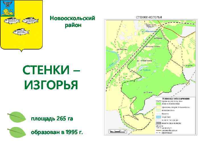 Новооскольский район СТЕНКИ – ИЗГОРЬЯ площадь 265 га образован в 1995 г. 