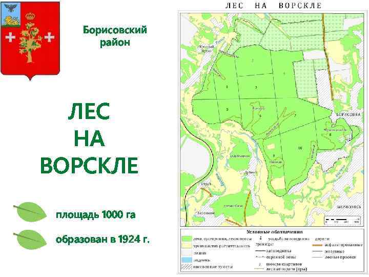 Борисовский район ЛЕС НА ВОРСКЛЕ площадь 1000 га образован в 1924 г. 