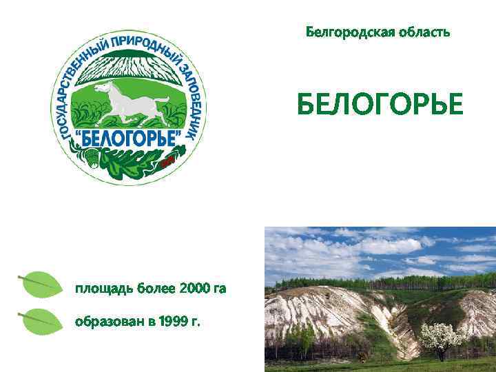 Белгородская область БЕЛОГОРЬЕ площадь более 2000 га образован в 1999 г. 