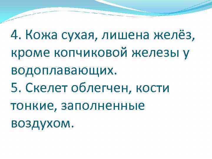 4. Кожа сухая, лишена желёз, кроме копчиковой железы у водоплавающих. 5. Скелет облегчен, кости