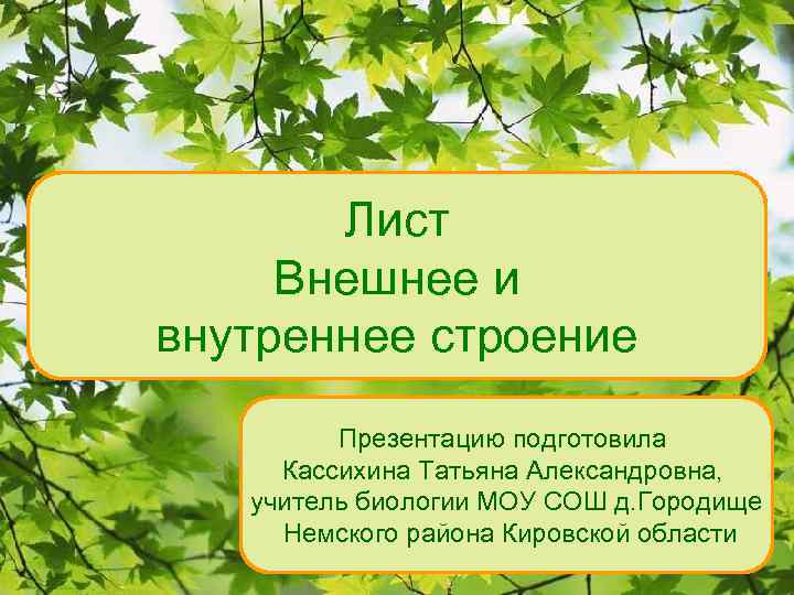 Лист Внешнее и внутреннее строение Презентацию подготовила Кассихина Татьяна Александровна, учитель биологии МОУ СОШ