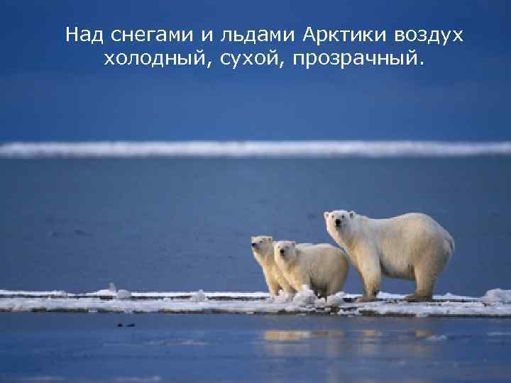 Над снегами и льдами Арктики воздух холодный, сухой, прозрачный. 