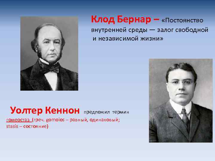 Клод Бернар – «Постоянство внутренней среды — залог свободной и независимой жизни» Уолтер Кеннон