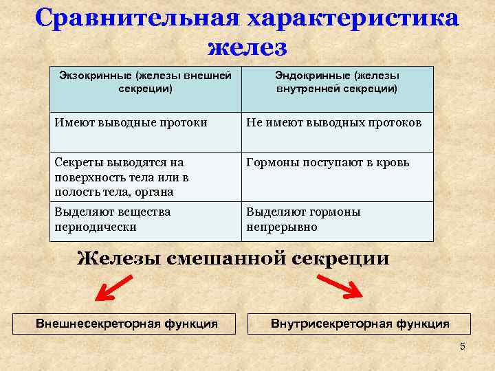 Сравнительная характеристика желез Экзокринные (железы внешней секреции) Эндокринные (железы внутренней секреции) Имеют выводные протоки