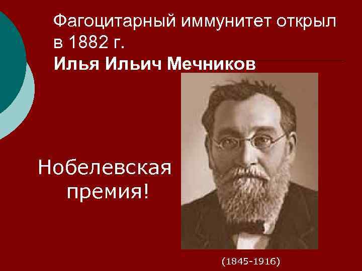 Фагоцитарный иммунитет открыл в 1882 г. Илья Ильич Мечников Нобелевская премия! (1845 -1916) 