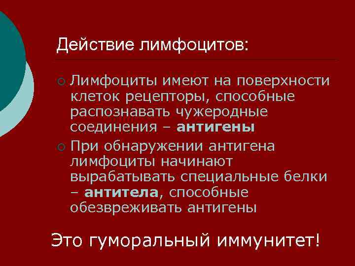 Действие лимфоцитов: Лимфоциты имеют на поверхности клеток рецепторы, способные распознавать чужеродные соединения – антигены