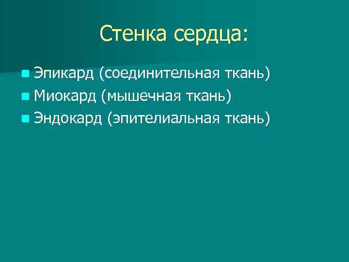 Стенка сердца: n Эпикард (соединительная ткань) n Миокард (мышечная ткань) n Эндокард (эпителиальная ткань)