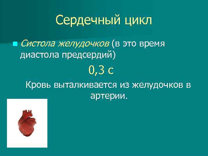 Сердечный цикл n Систола желудочков (в это время диастола предсердий) 0, 3 с Кровь