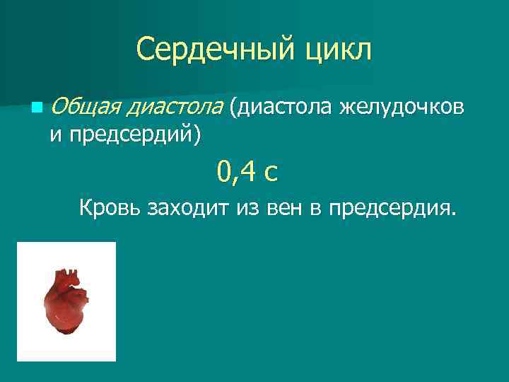 Сердечный цикл n Общая диастола (диастола желудочков и предсердий) 0, 4 с Кровь заходит