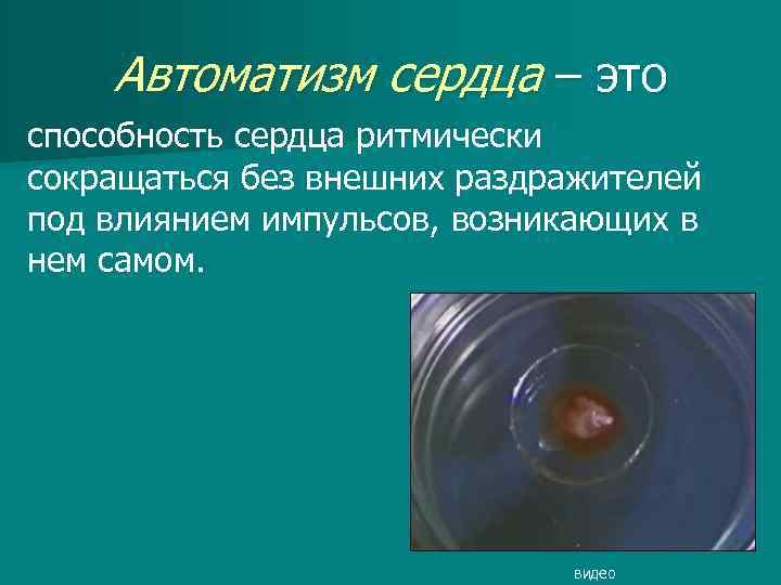 Автоматизм сердца – это способность сердца ритмически сокращаться без внешних раздражителей под влиянием импульсов,