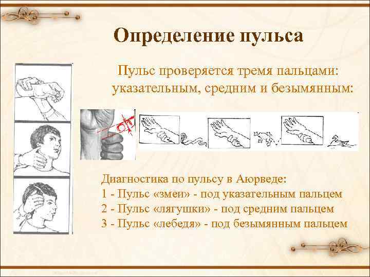 Определение пульса Пульс проверяется тремя пальцами: указательным, средним и безымянным: Диагностика по пульсу в