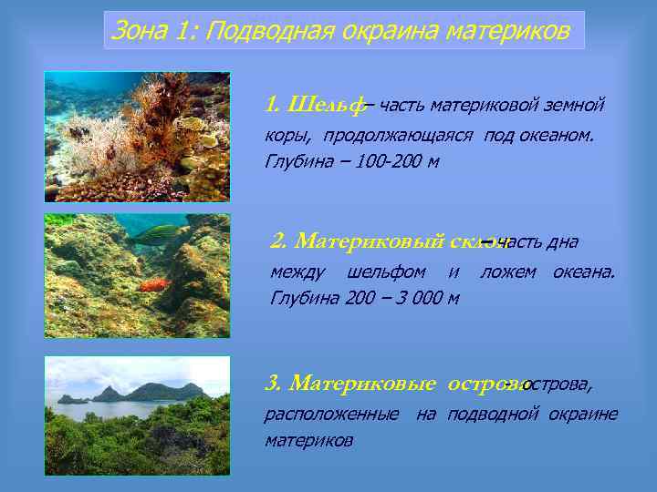 Зона 1: Подводная окраина материков 1. Шельф– часть материковой земной коры, продолжающаяся под океаном.