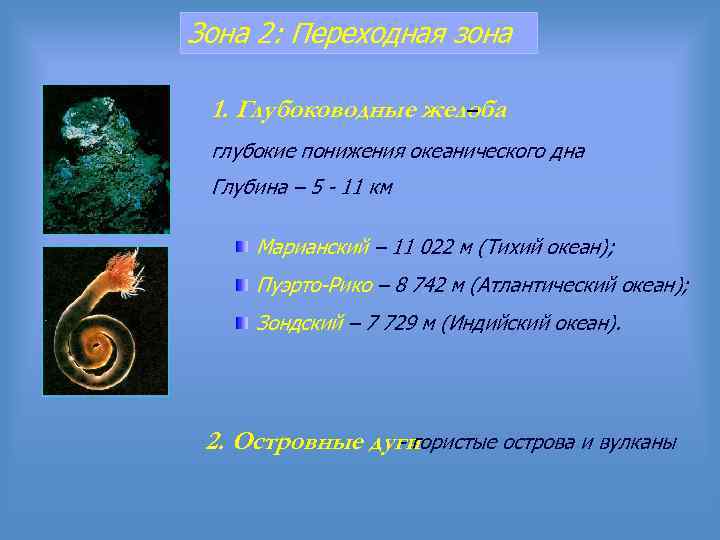 Зона 2: Переходная зона 1. Глубоководные желоба – глубокие понижения океанического дна Глубина –