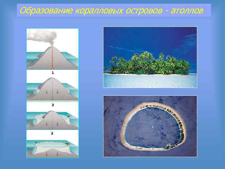 Образование коралловых островов - атоллов 