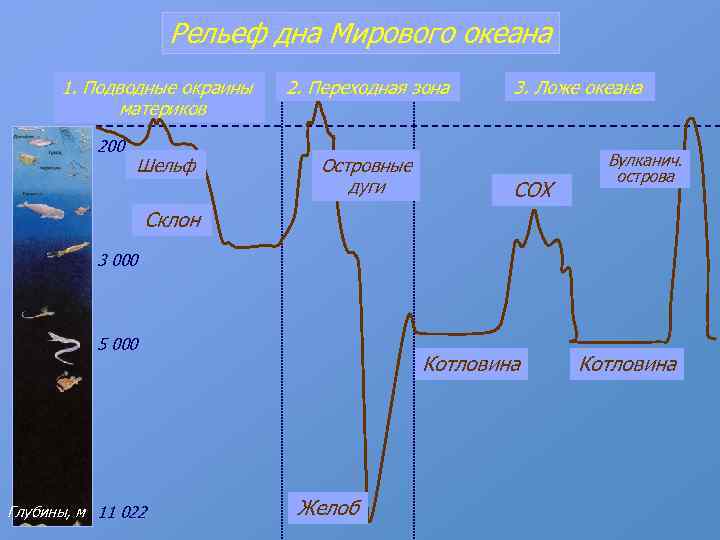 Рельеф дна Мирового океана 1. Подводные окраины материков 200 1 Шельф 2. Переходная зона