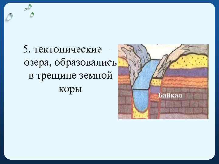 5. тектонические – озера, образовались в трещине земной коры Байкал 