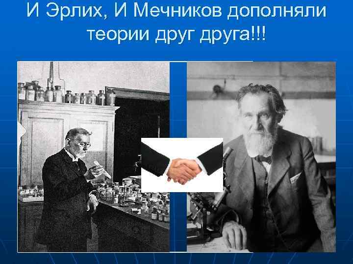 И Эрлих, И Мечников дополняли теории друга!!! 