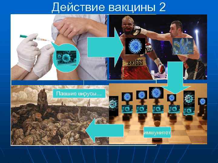 Действие вакцины 2 Павшие вирусы… иммунитет 