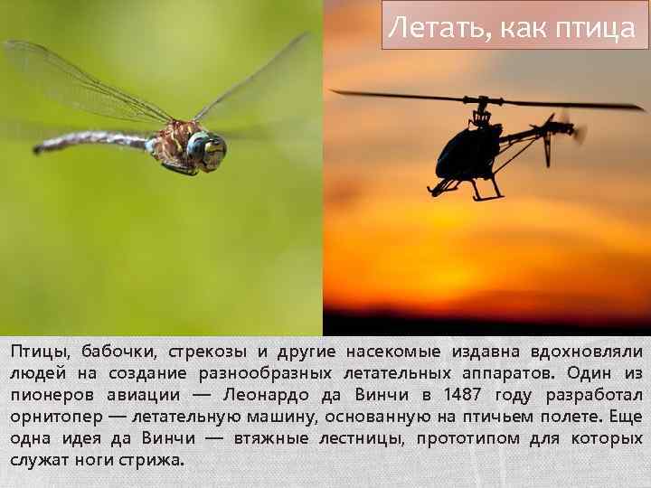 Летать, как птица Птицы, бабочки, стрекозы и другие насекомые издавна вдохновляли людей на создание