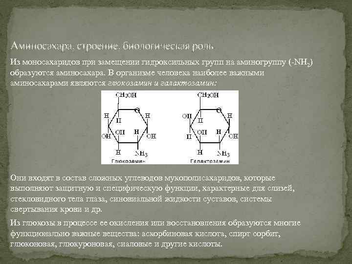 Аминосахара, строение, биологическая роль. Из моносахаридов при замещении гидроксильных групп на аминогруппу (-NH 2)