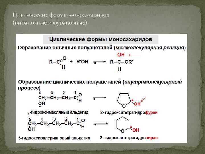 Циклические формы моносахаридов (пиранозные и фуранозные). 