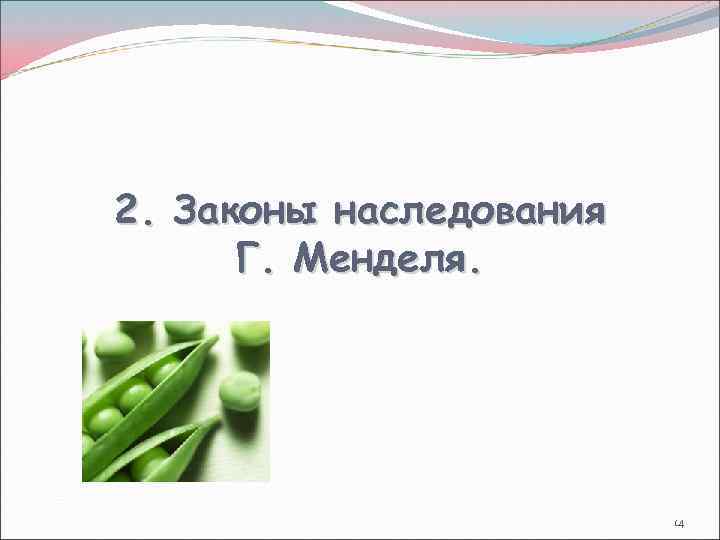 2. Законы наследования Г. Менделя. 14 