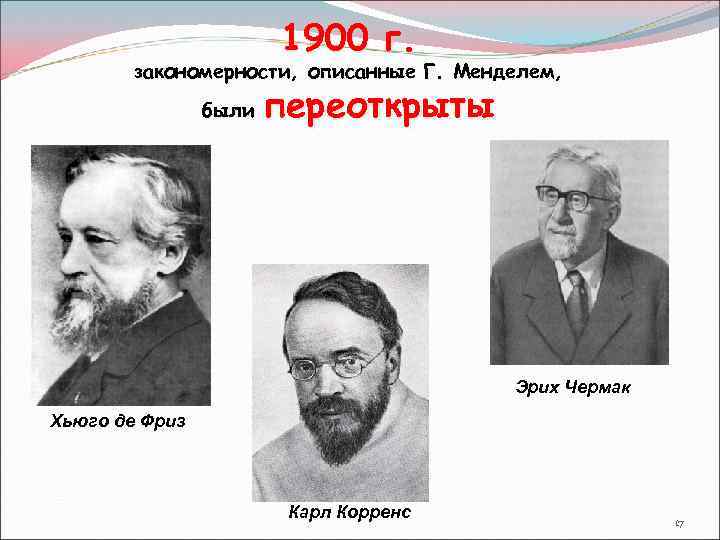 1900 г. закономерности, описанные Г. Менделем, были переоткрыты Эрих Чермак Хьюго де Фриз Карл