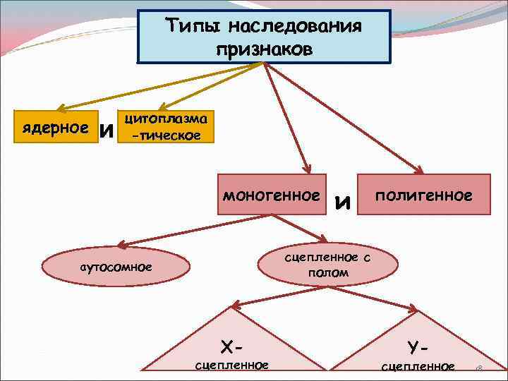 Типы признаков в генетике. Типы наследования признаков схема. Типы наследования менделирующих признаков схема. "Основные типы наследования менделирующих признаков". Типы наследования генетика.