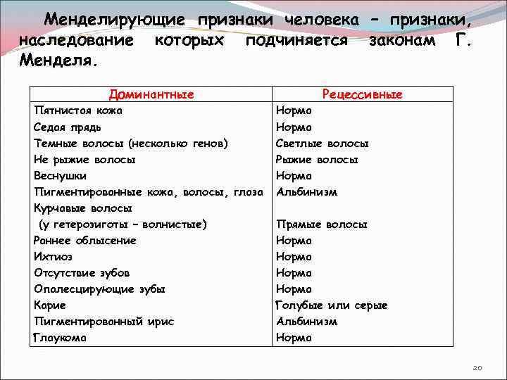 Менделирующие признаки человека наследование которых подчиняется Менделя. Доминантные Пятнистая кожа Седая прядь Темные волосы