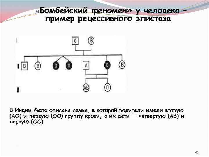 Определите какую генетическую закономерность иллюстрирует данная схема р