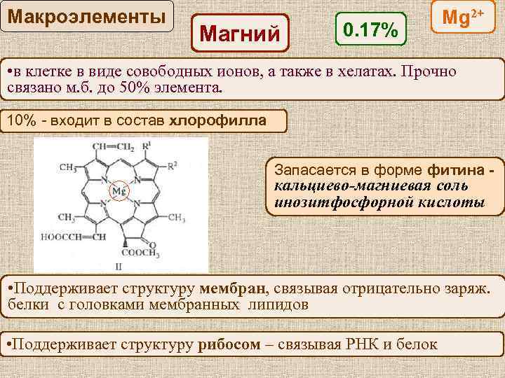 Химический состав растений