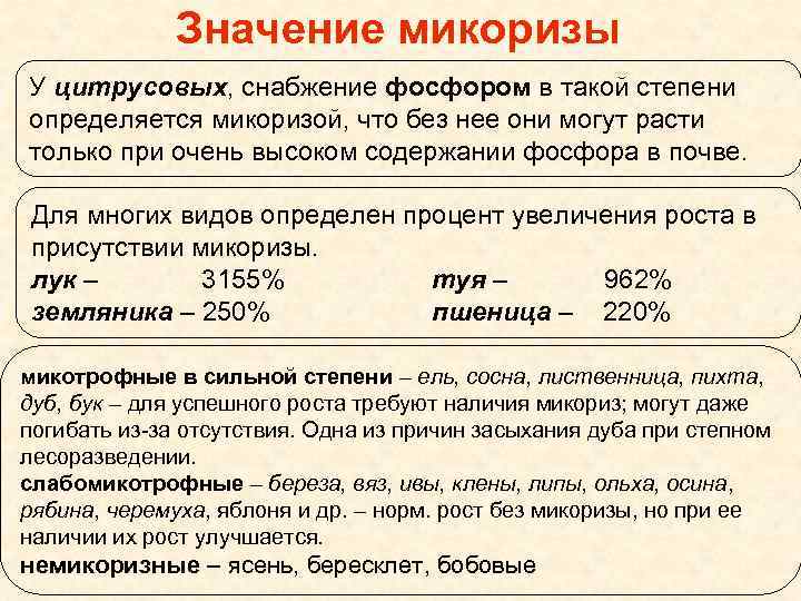  Значение микоризы У цитрусовых, снабжение фосфором в такой степени определяется микоризой, что без