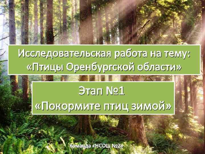 Исследовательская работа на тему: «Птицы Оренбургской области» Этап № 1 «Покормите птиц зимой» Команда