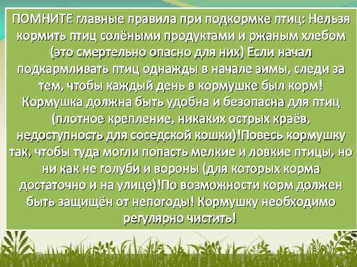 ПОМНИТЕ главные правила при подкормке птиц: Нельзя кормить птиц солёными продуктами и ржаным хлебом