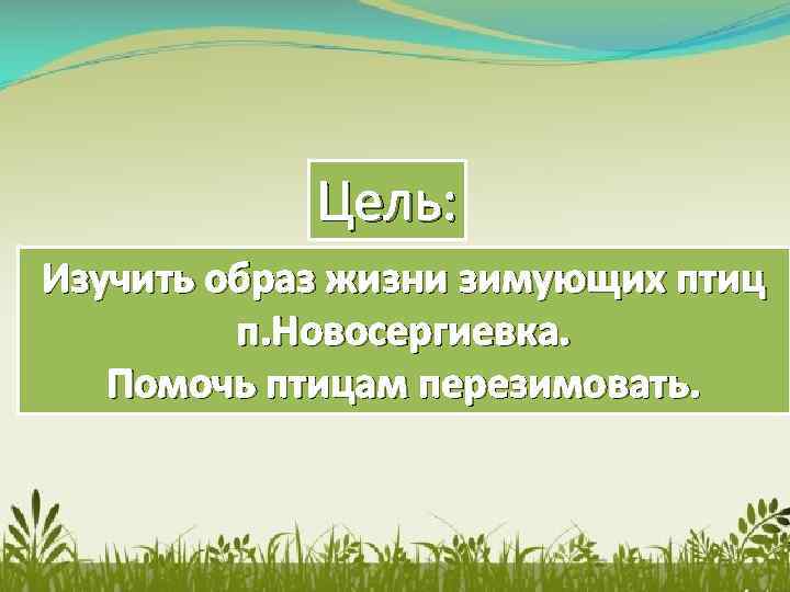 Цель: Изучить образ жизни зимующих птиц п. Новосергиевка. Помочь птицам перезимовать. 