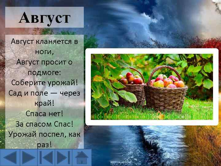 Август кланяется в ноги, Август просит о подмоге: Соберите урожай! Сад и поле —