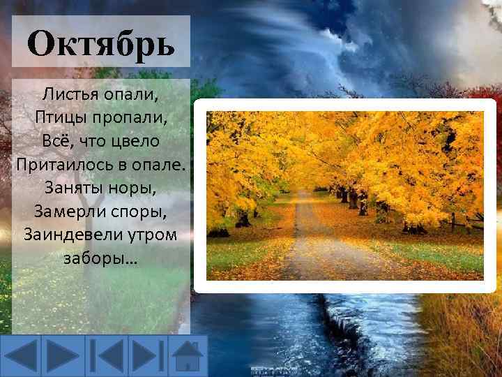 Октябрь Листья опали, Птицы пропали, Всё, что цвело Притаилось в опале. Заняты норы, Замерли