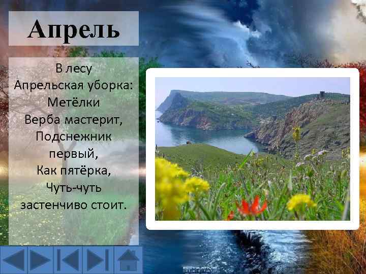 Апрель В лесу Апрельская уборка: Метёлки Верба мастерит, Подснежник первый, Как пятёрка, Чуть-чуть застенчиво