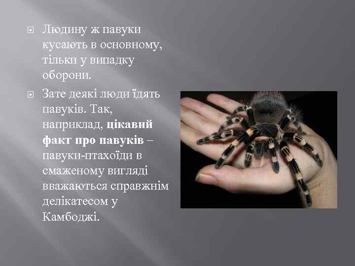  Людину ж павуки кусають в основному, тільки у випадку оборони. Зате деякі люди