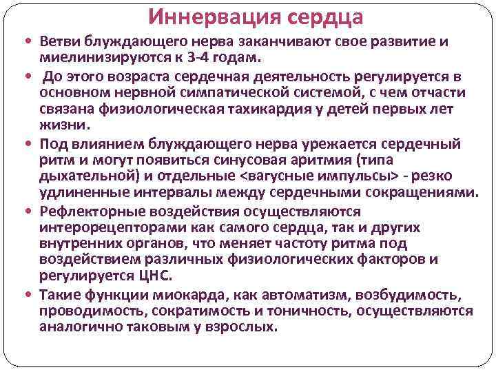 Иннервация сердца Ветви блуждающего нерва заканчивают свое развитие и миелинизируются к 3 -4 годам.